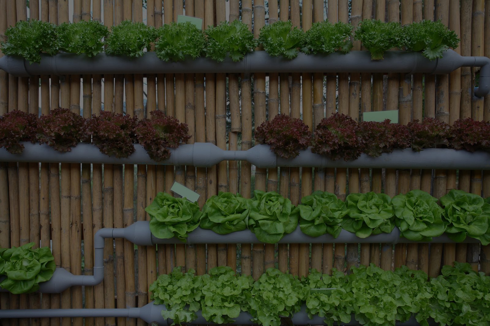 Agriculture, food systems and safety education